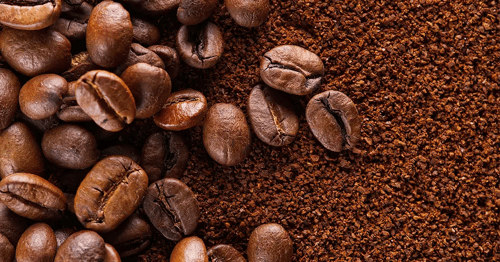 coffee suppliers