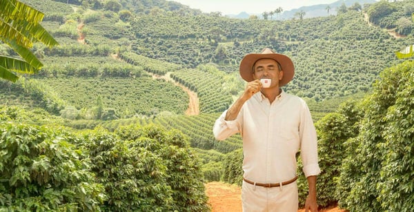 café en grano