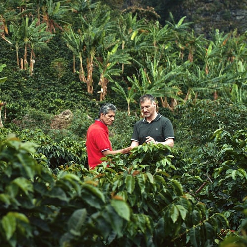 Duurzame koffie